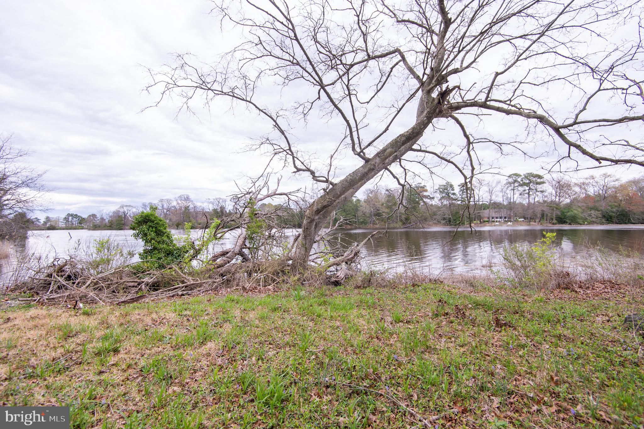 5631 Cedar Grove Road East New Market, MD 21631 - Photo 10 of 16