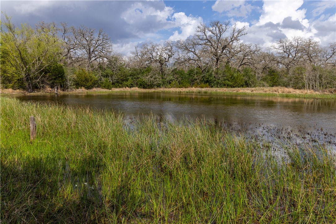 10100 Ferrill Creek Road Bryan, TX 77808 - Photo 7 of 20