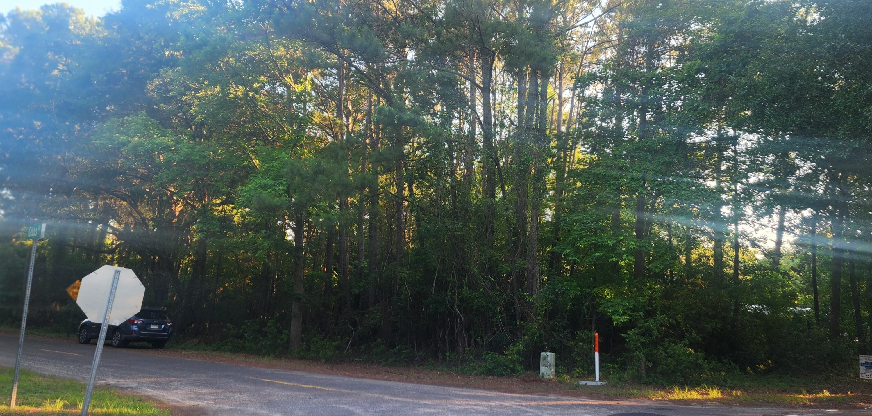 0 Legareville Road Johns Island, SC 29455 - Photo 1 of 5 Corner_Gibbs_Legareville