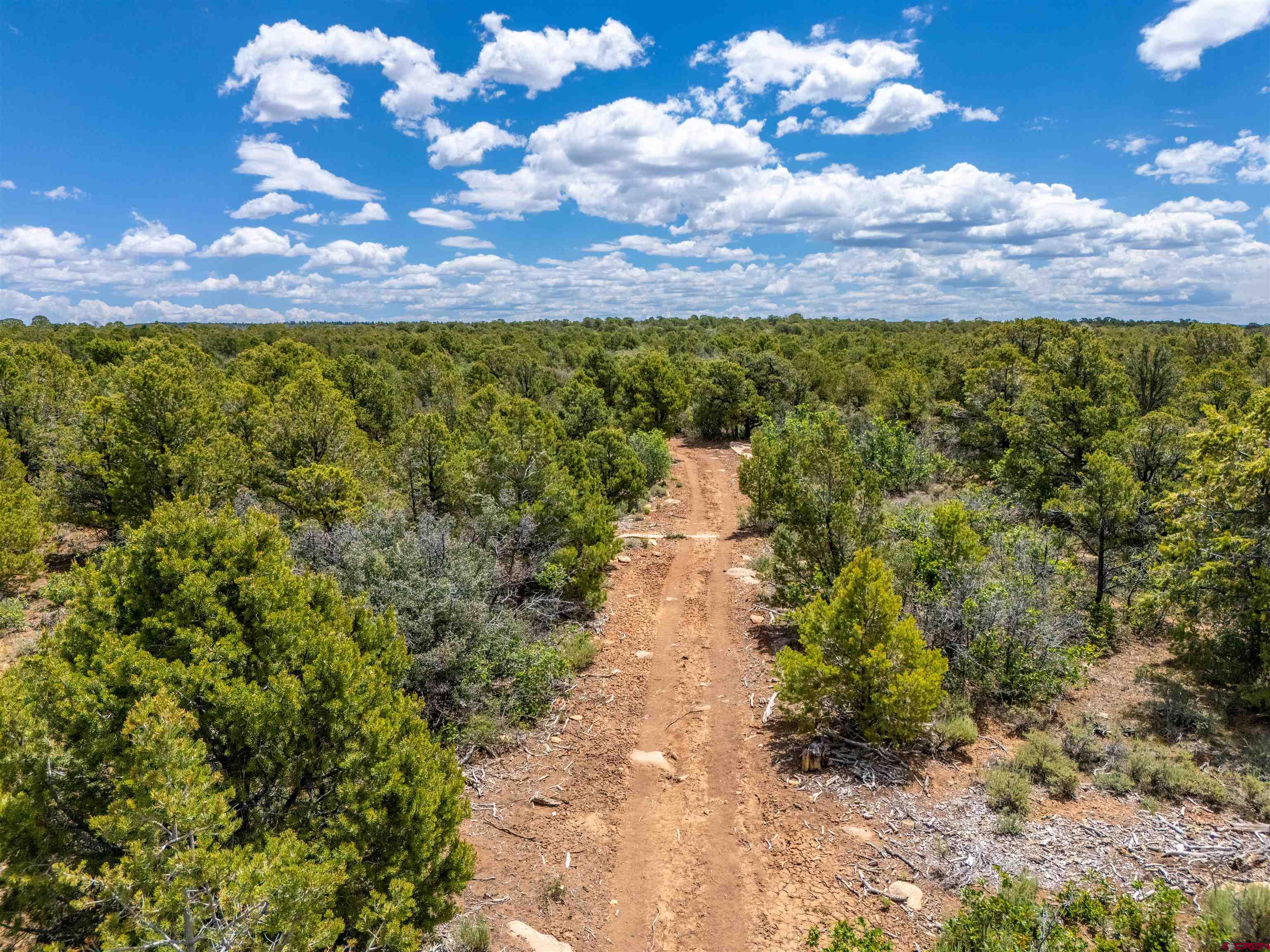 724 Blue Canyon Ranch Road Egnar, CO 81325 - Photo 31 of 45