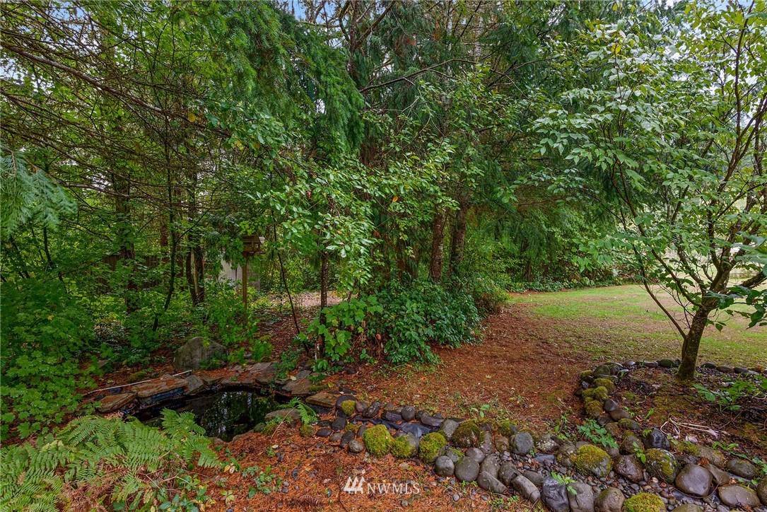 491 South Military Road Winlock, WA 98596 - Photo 29 of 40 a view of a lush green forest