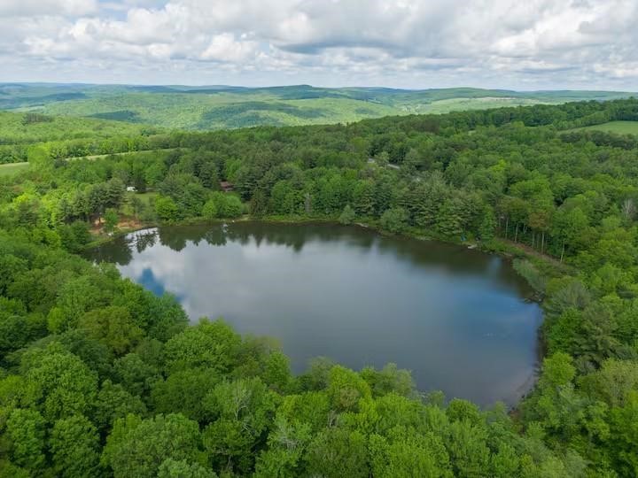 1565 Tupper Hill Road Franklin, NY 13775 - Photo 19 of 29