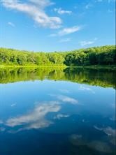 1565 Tupper Hill Road Franklin, NY 13775 - Photo 23 of 29