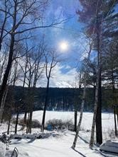 1565 Tupper Hill Road Franklin, NY 13775 - Photo 25 of 29