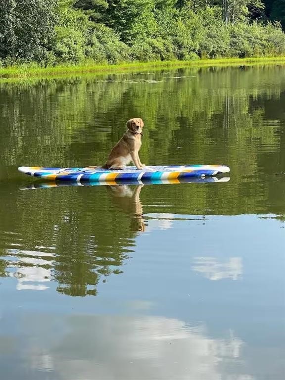 1565 Tupper Hill Road Franklin, NY 13775 - Photo 28 of 29