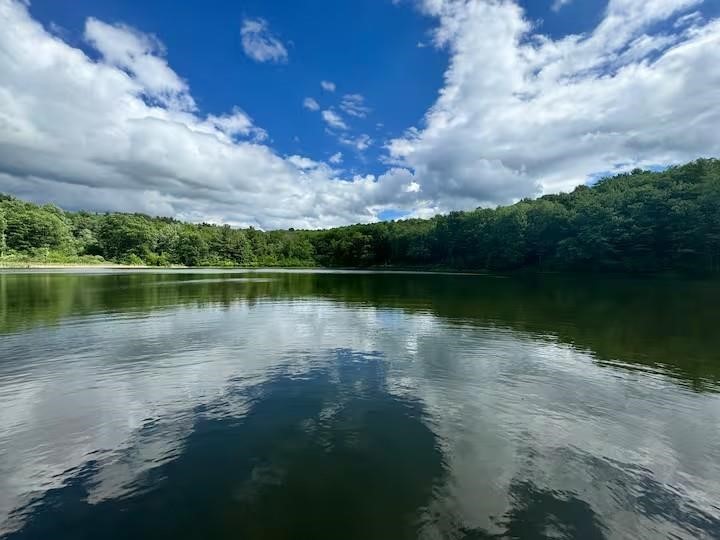 1565 Tupper Hill Road Franklin, NY 13775 - Photo 3 of 29