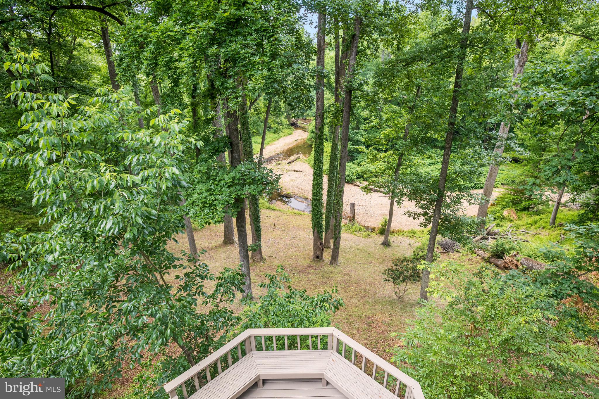 989 Saigon Road McLean, VA 22102 - Photo 2 of 55 Exterior Back - Deck View of Scotts Run
