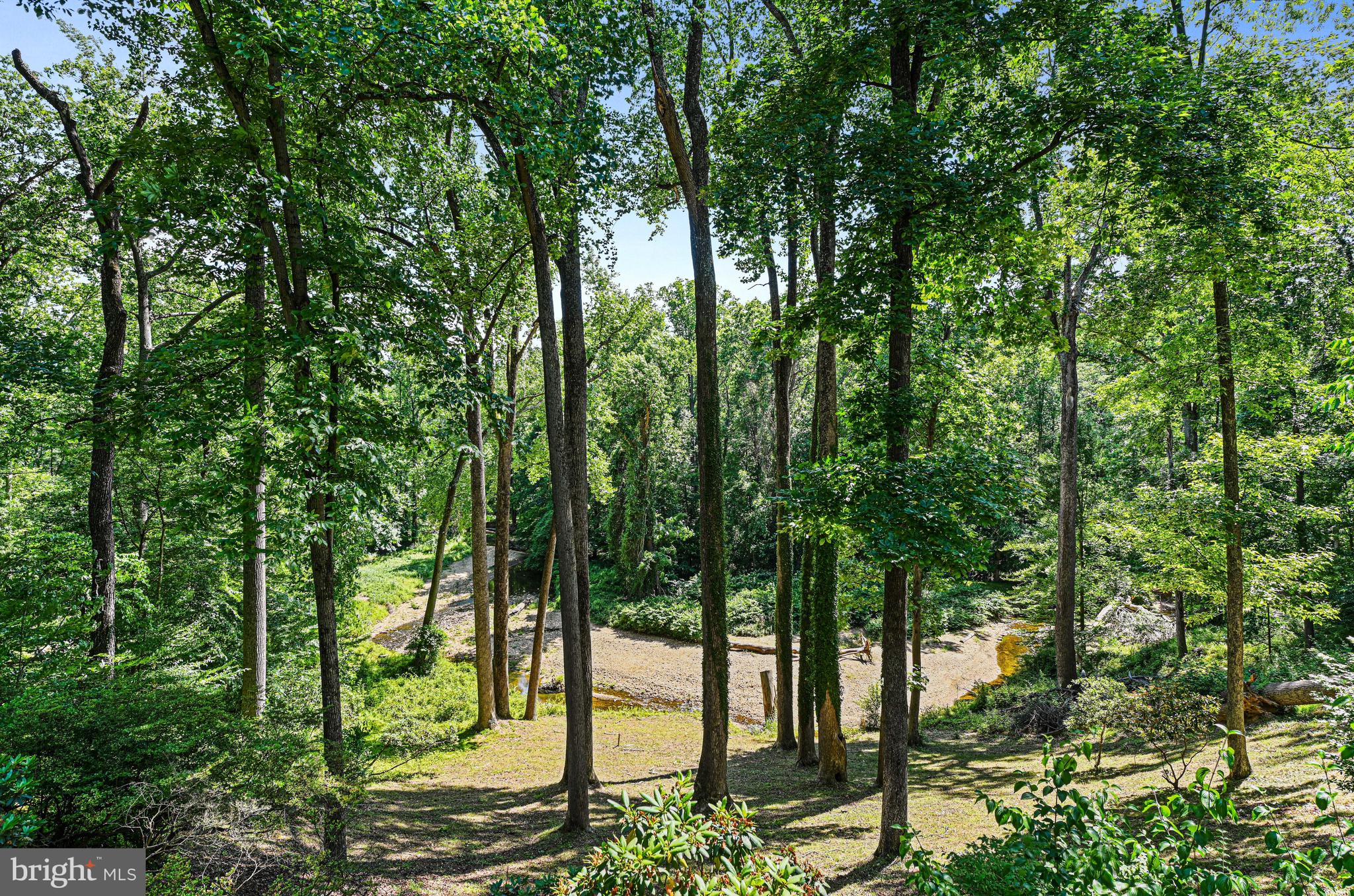 989 Saigon Road McLean, VA 22102 - Photo 3 of 55 Exterior Back - Deck View of Scotts Run