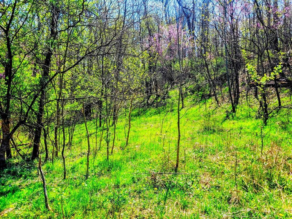 8670 Hoop Pole Road Roseville, OH 43777 - Photo 23 of 65 20220424_124252~4