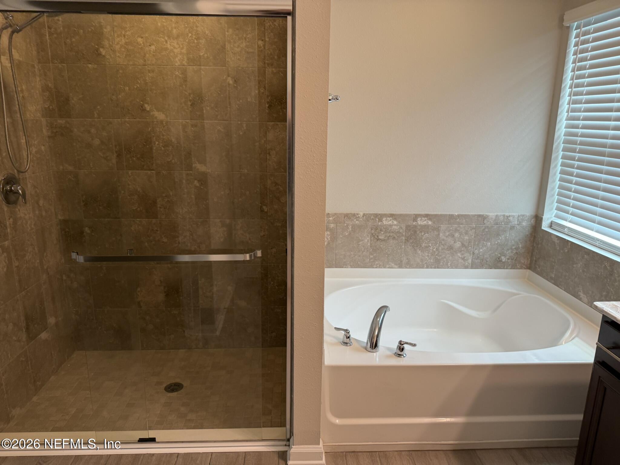 7713 Island Fox Road Jacksonville, FL 32222 - Photo 8 of 21 Primary shower and tub
