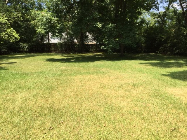 5863 Old Canton Road Jackson, MS 39211 - Photo 8 of 8 Photo 8