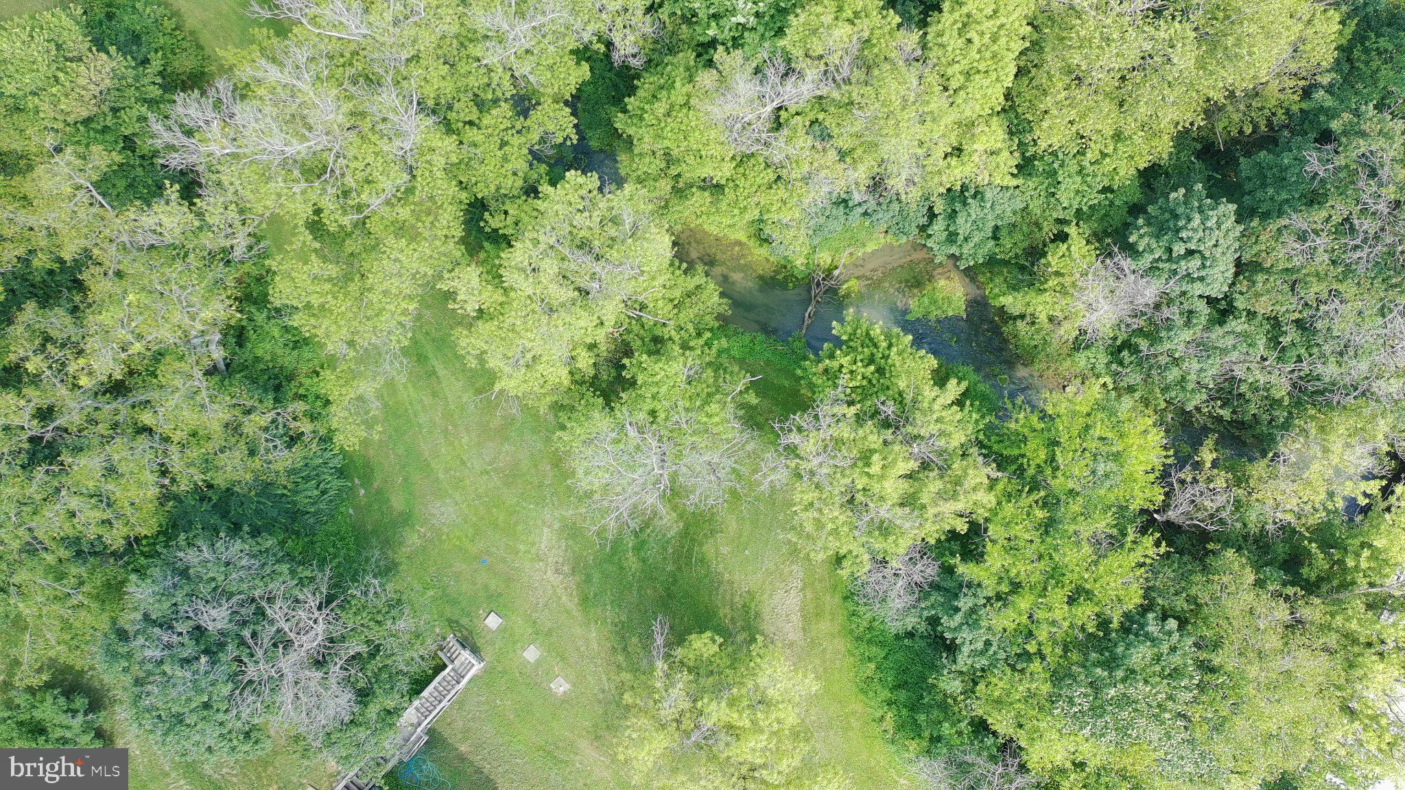 Stairs leading to side yard and Rowe Run stream