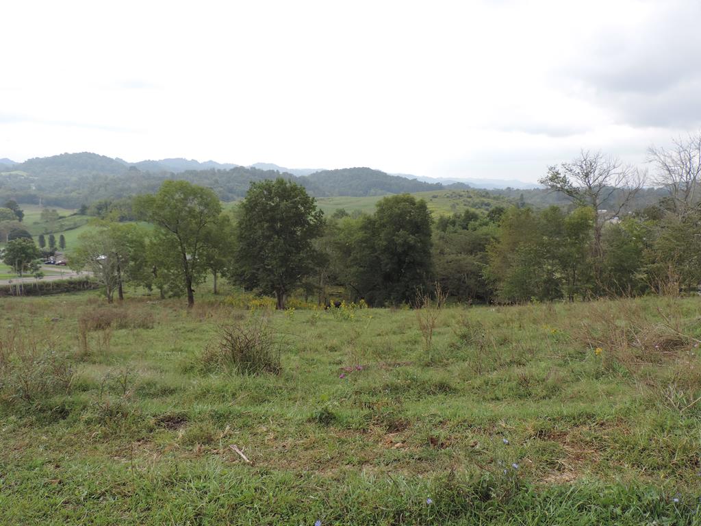 Tbd Mew Road, Unit 12 152 Castlewood, VA 24224 - Photo 10 of 14 Gallery Image 10