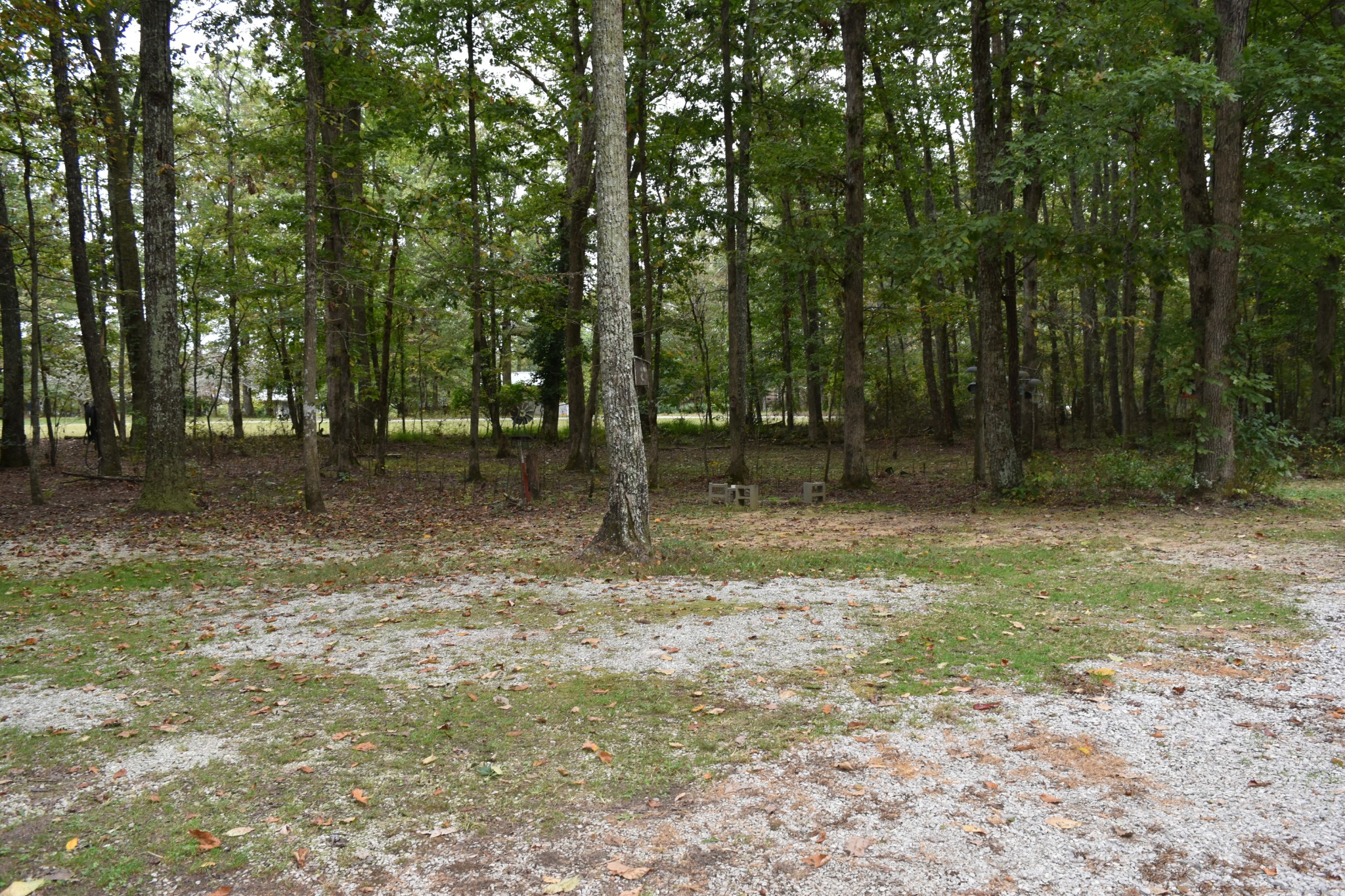 271 Ingman Clf Road Tracy City, TN 37387 - Photo 19 of 70 a backyard of a house with lots of green space