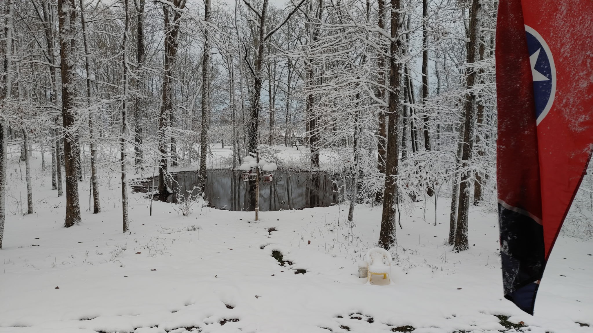 271 Ingman Clf Road Tracy City, TN 37387 - Photo 22 of 70 a view of a backyard of the house