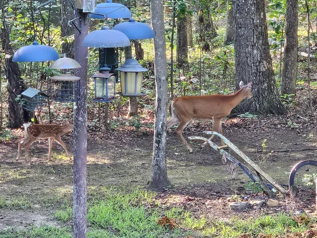 $510,000 | 271 Ingman Clf Road, Tracy City, TN 37387