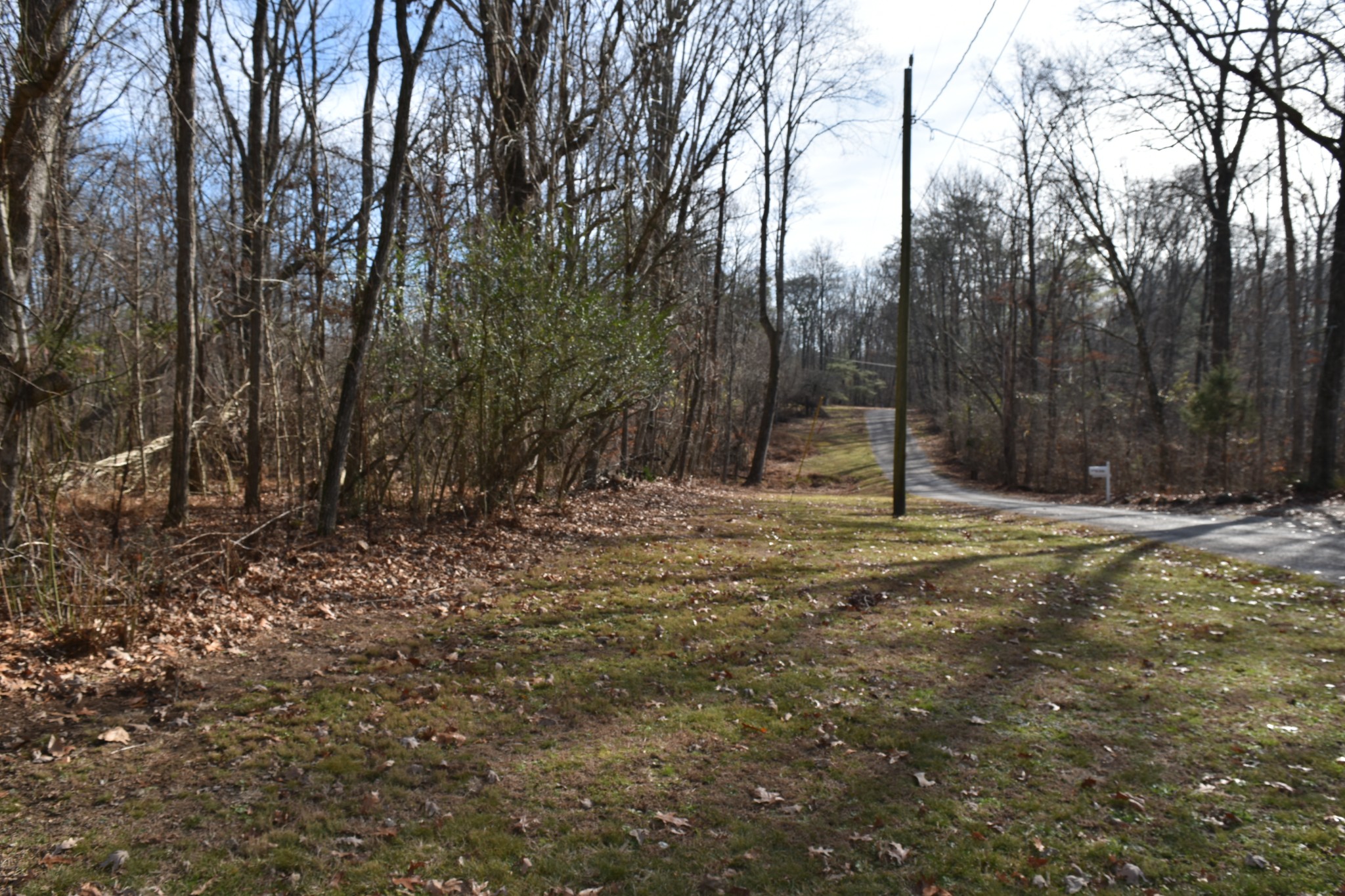 271 Ingman Clf Road Tracy City, TN 37387 - Photo 69 of 70 a view of a tree in the middle of a yard