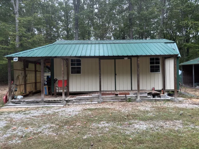 a view of a forest filled with trees and flowers