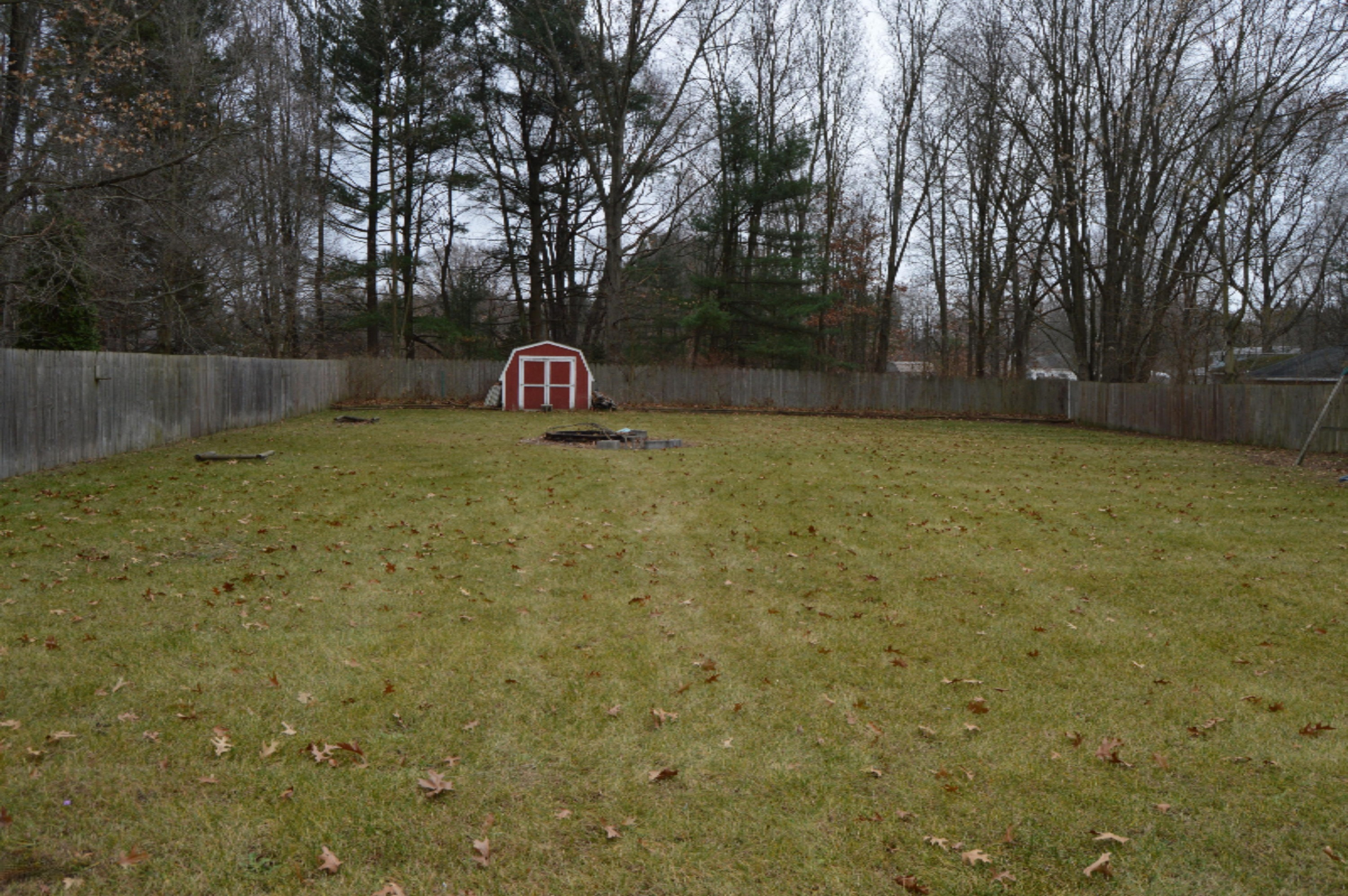 DSC_0358