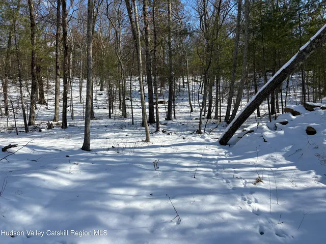 a view of outdoor space yard and patio