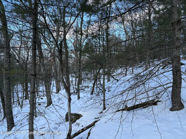 a view of yard covered with snow