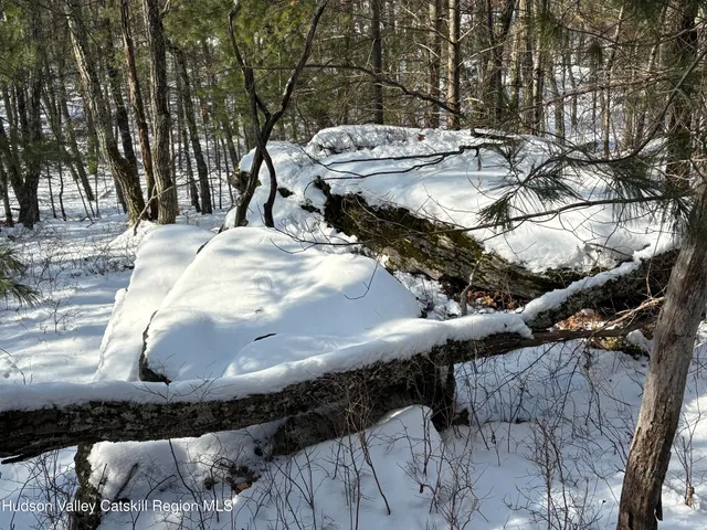 a view of a large yard