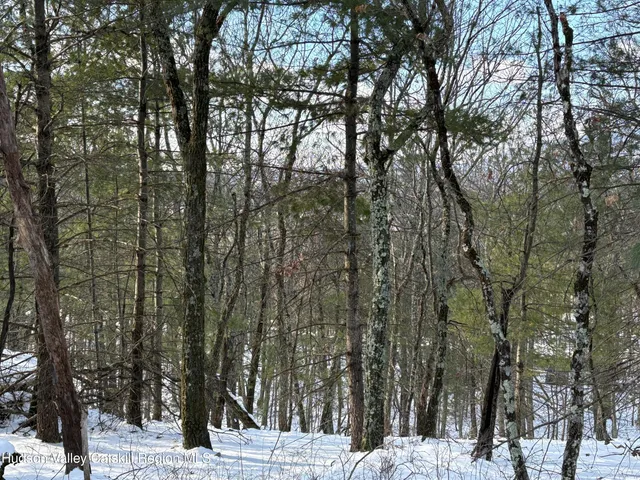 a view of road with trees