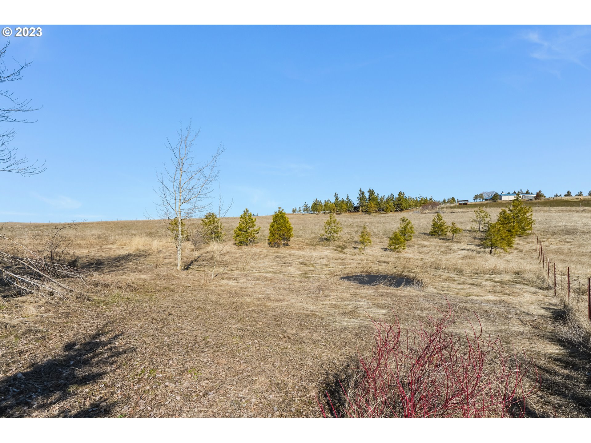 1041 High Prairie Road Lyle, WA 98635 - Photo 23 of 27 Gallery Image 23