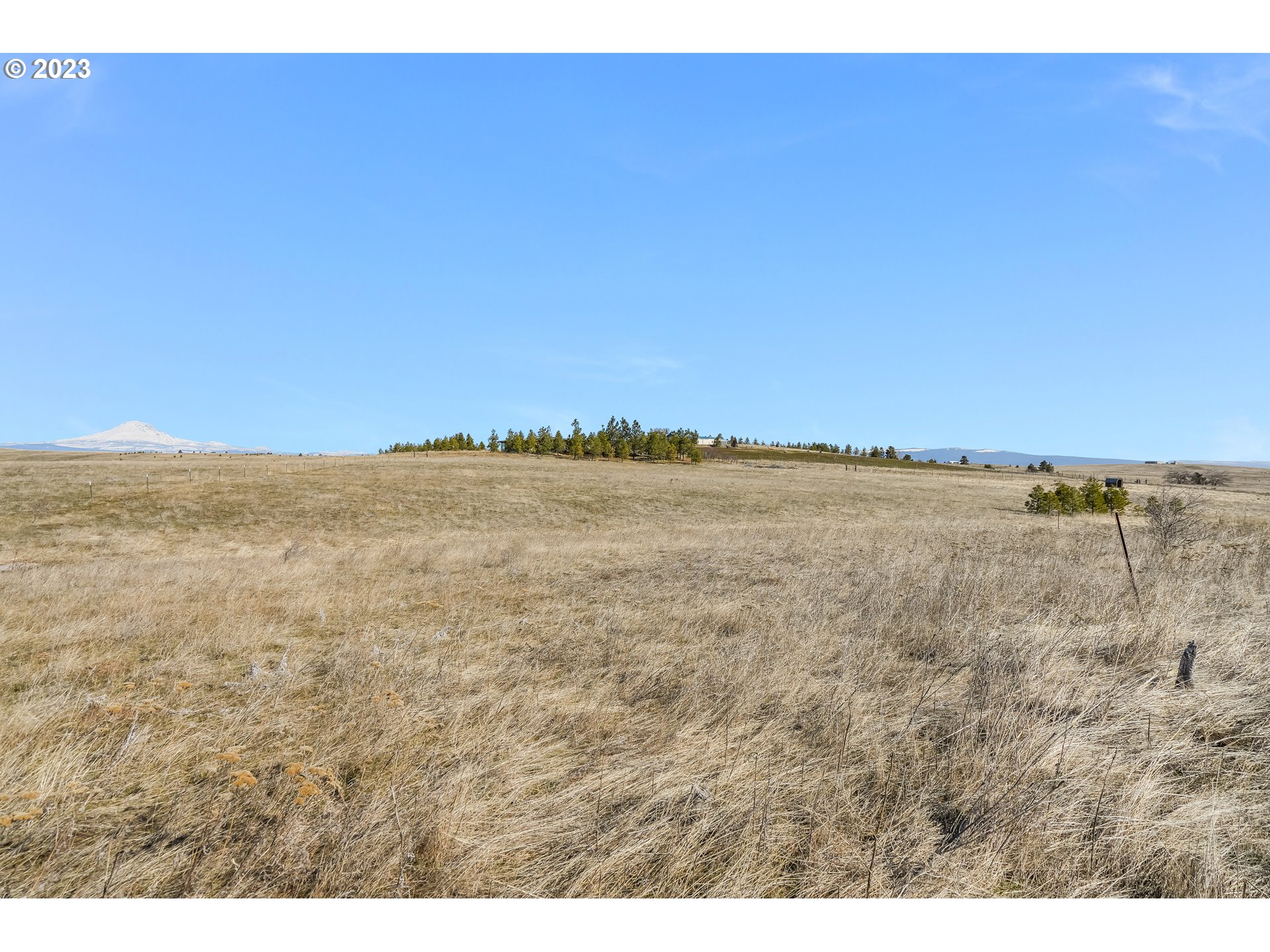 1041 High Prairie Road Lyle, WA 98635 - Photo 24 of 27 Gallery Image 24