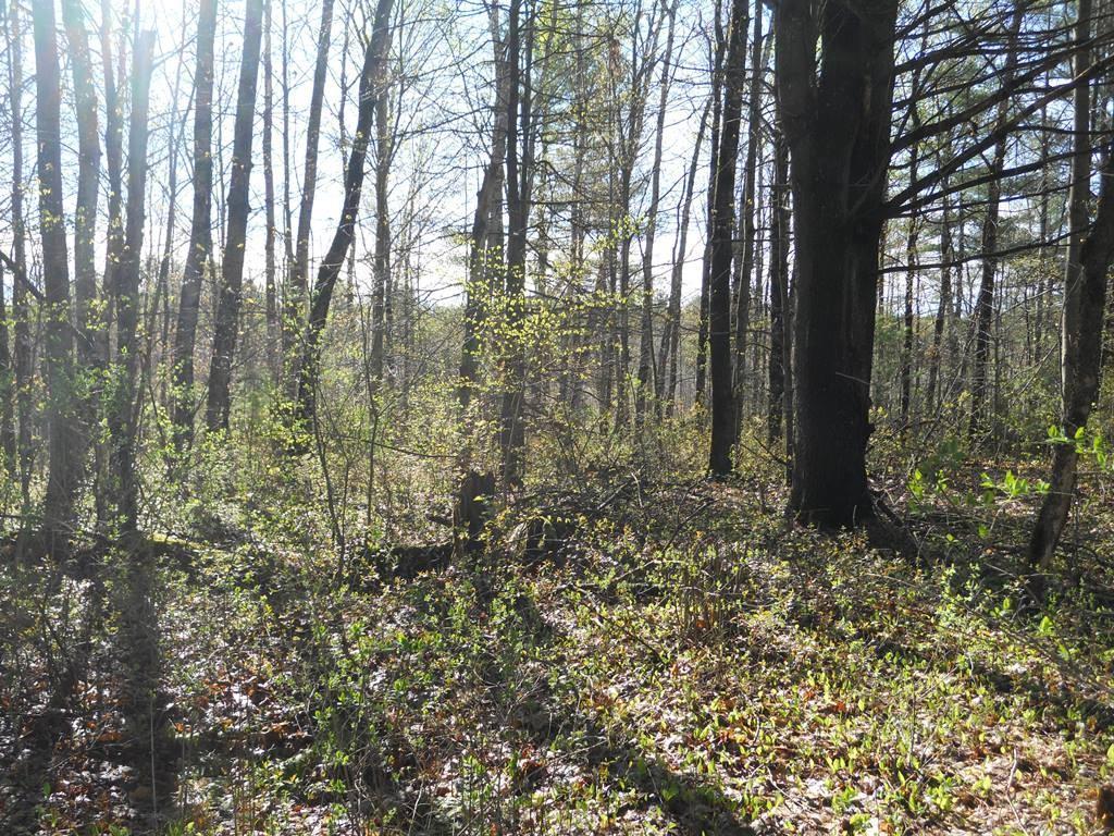 957 Hinckley Road Clinton, ME 04927 - Photo 8 of 15 Photo