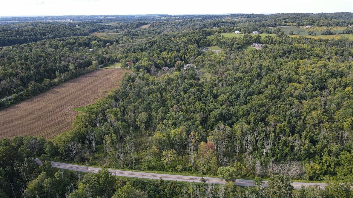 3710 Esty Road Bloomfield, NY 14469 - Photo 47 of 50 Gallery Image 47