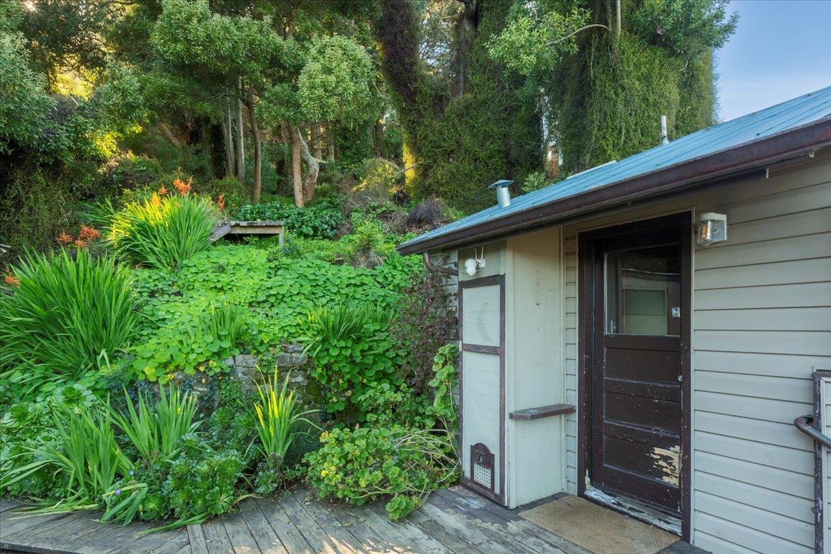 268 Olympian Way Pacifica, CA 94044 - Photo 19 of 23 a backyard of a house with plants and tree