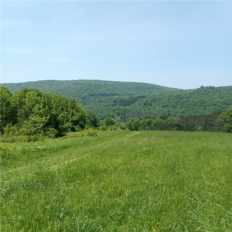 3190 County Highway Walton, NY 13856 - Photo 4 of 31