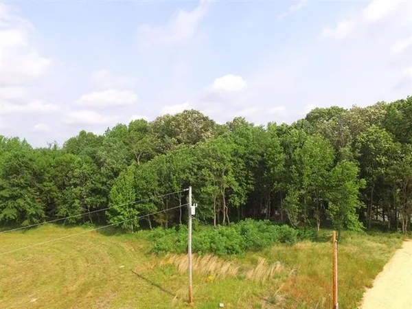 a car parked in the middle of a park