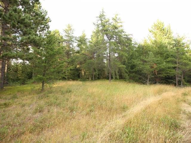 40 A Skunk Creek Road Rhinelander, WI 54501 - Photo 6 of 11 Gallery Image 6
