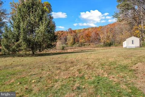 a view of yard with trees
