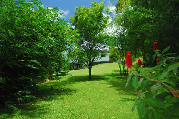 4686 Kuli Road Kalaheo, HI 96741 - Photo 17 of 24 Gallery Image 17