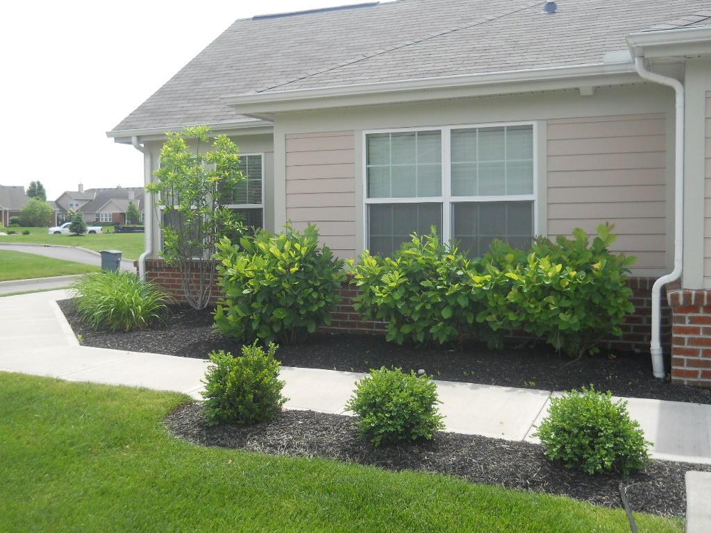 5365 Rufford Street Westerville, OH 43081 - Photo 8 of 26