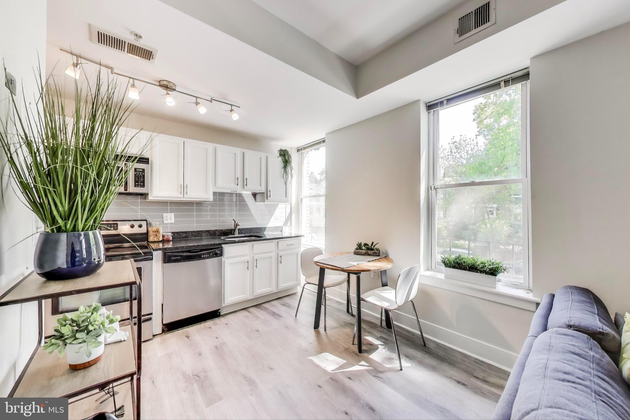 1106 Columbia Road Northwest, Unit 103 Washington, DC 20009 - Photo 6 of 21 a living room with stainless steel appliances furniture a window and a potted plant