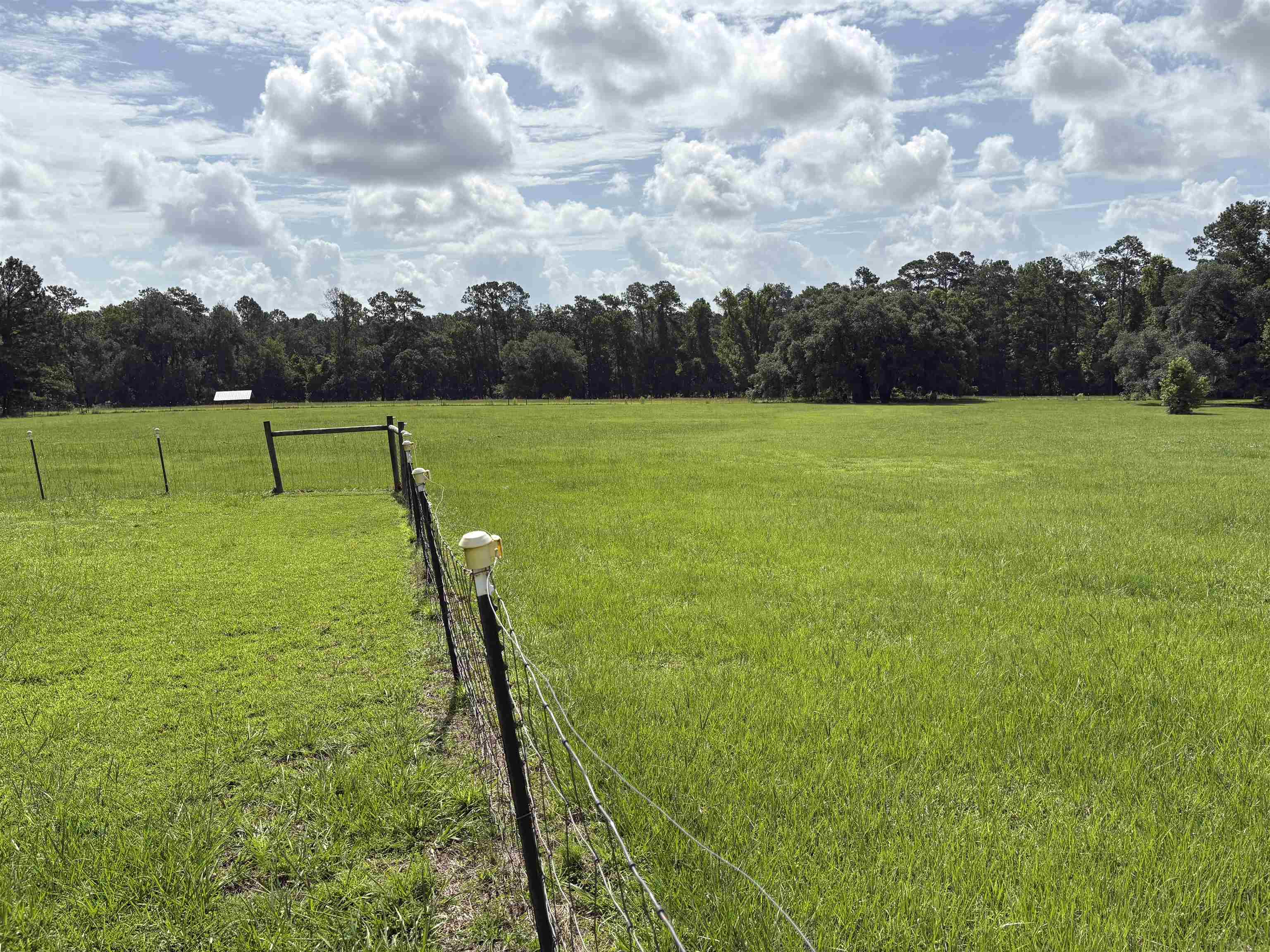 458 Watermill Road Monticello, FL 32344 - Photo 9 of 11
