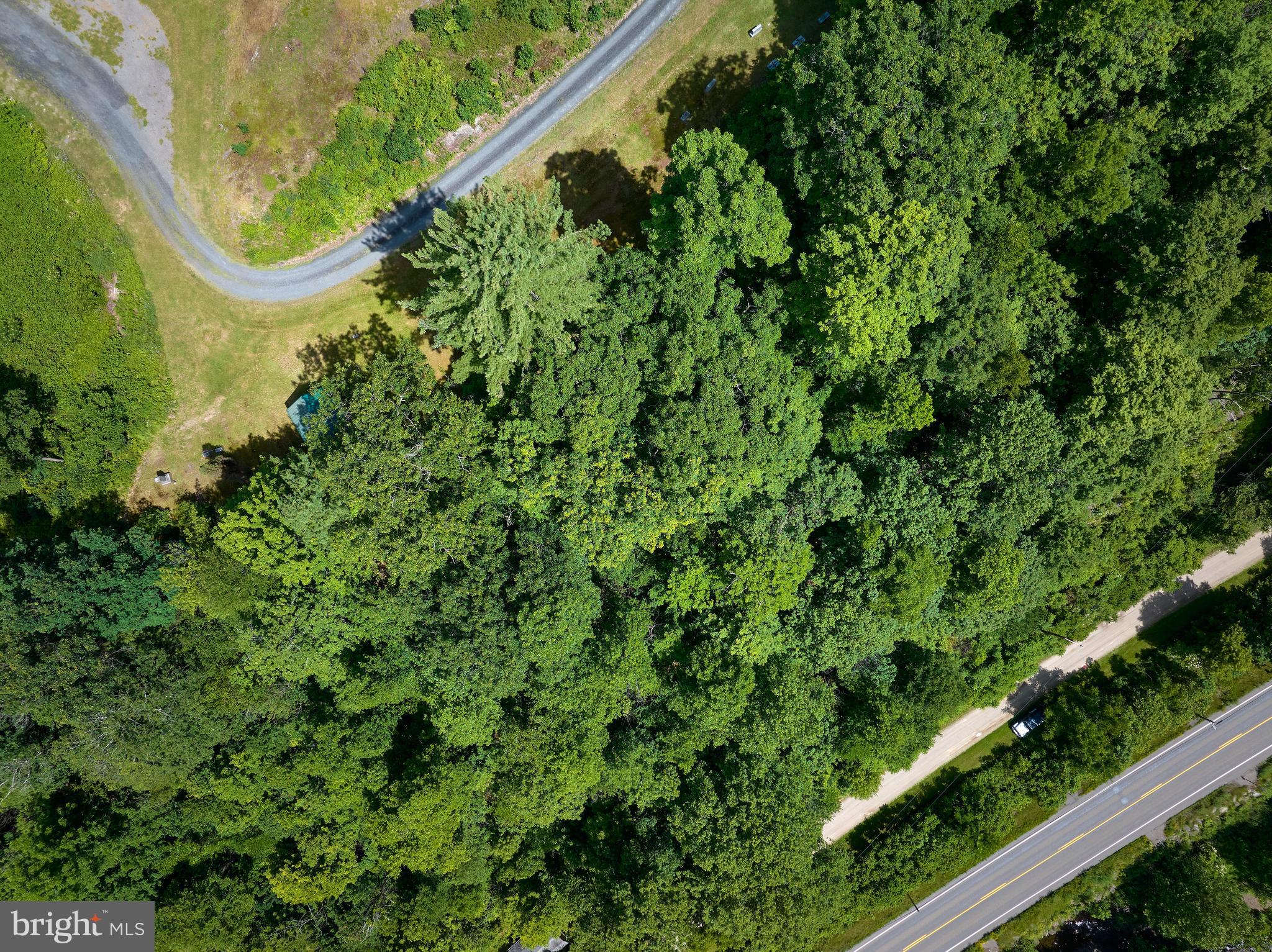 0 Peepaw Road Roaring Branch, PA 17765 - Photo 6 of 26