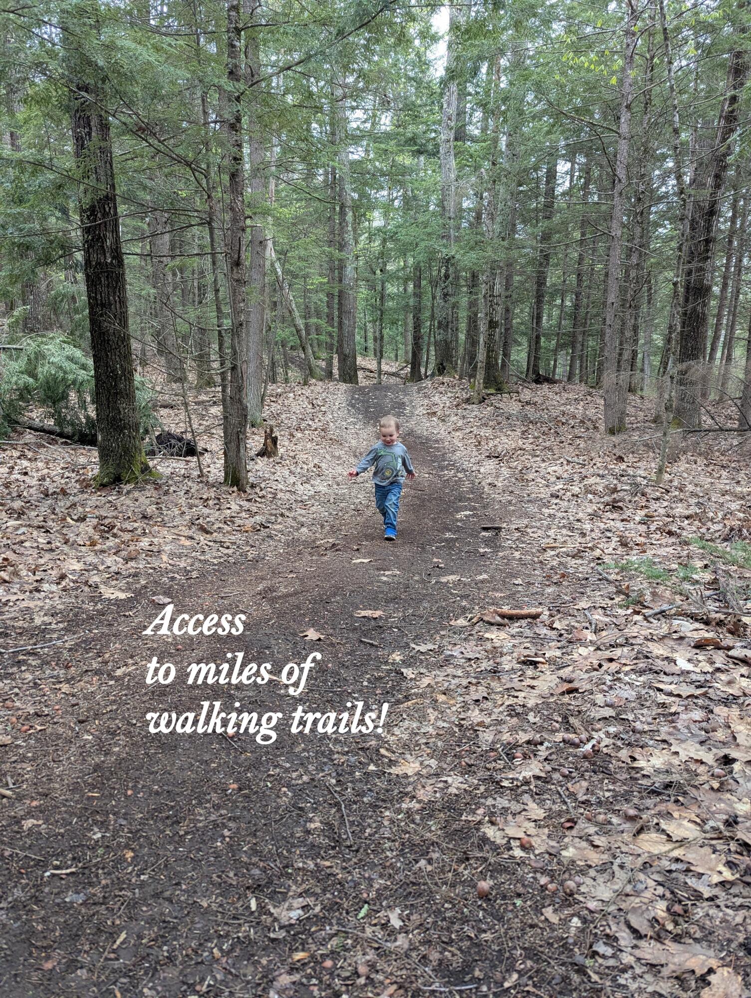 3 Cortland Place, Unit 8 Standish, ME 04084 - Photo 23 of 26 IMG_0257