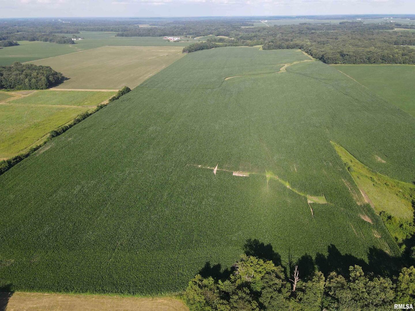 a view of a lake with a yard