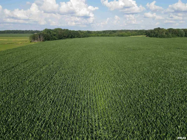 $1,200,000 | 0 East County Road 900 Road, Montrose, IL 62445