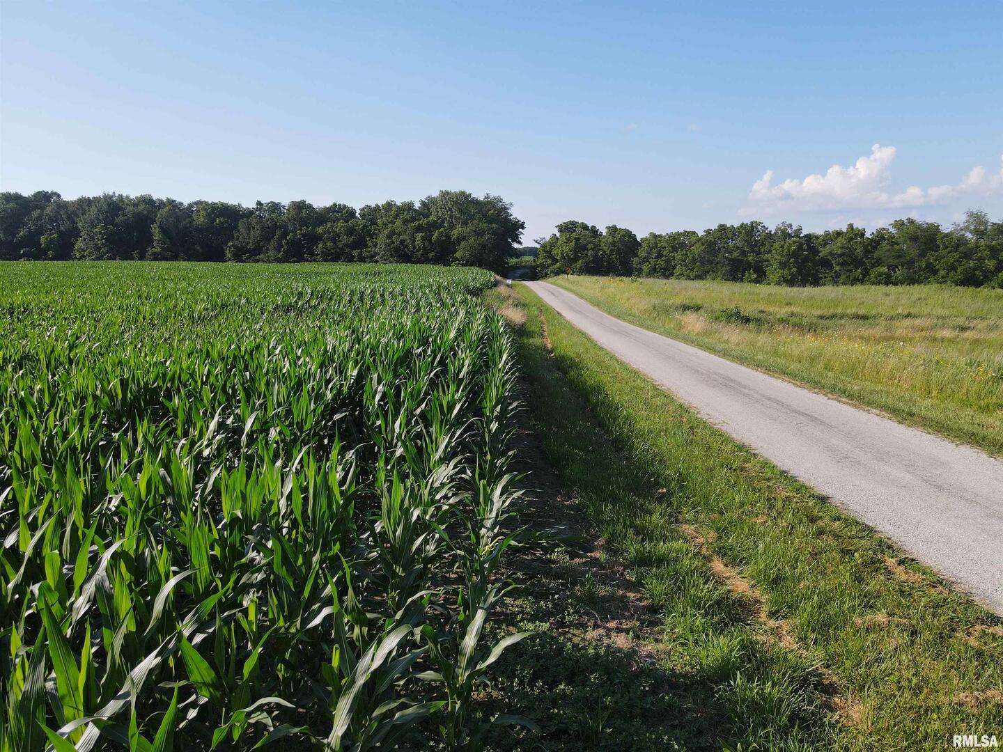 0 East County Road 900 Road Montrose, IL 62445 - Photo 13 of 18 a view of a lush green field with wooden fence