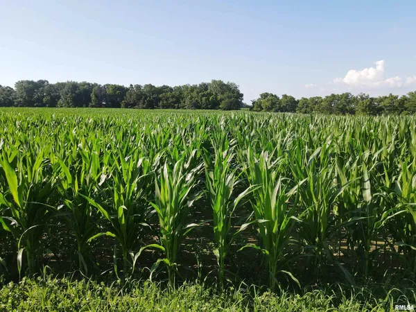 $1,200,000 | 0 East County Road 900 Road, Montrose, IL 62445