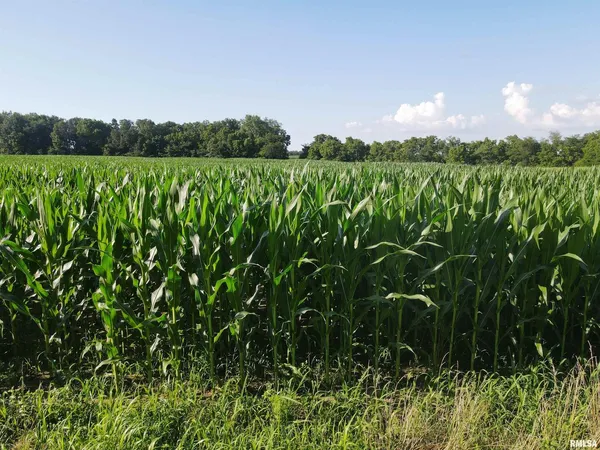 $1,200,000 | 0 East County Road 900 Road, Montrose, IL 62445