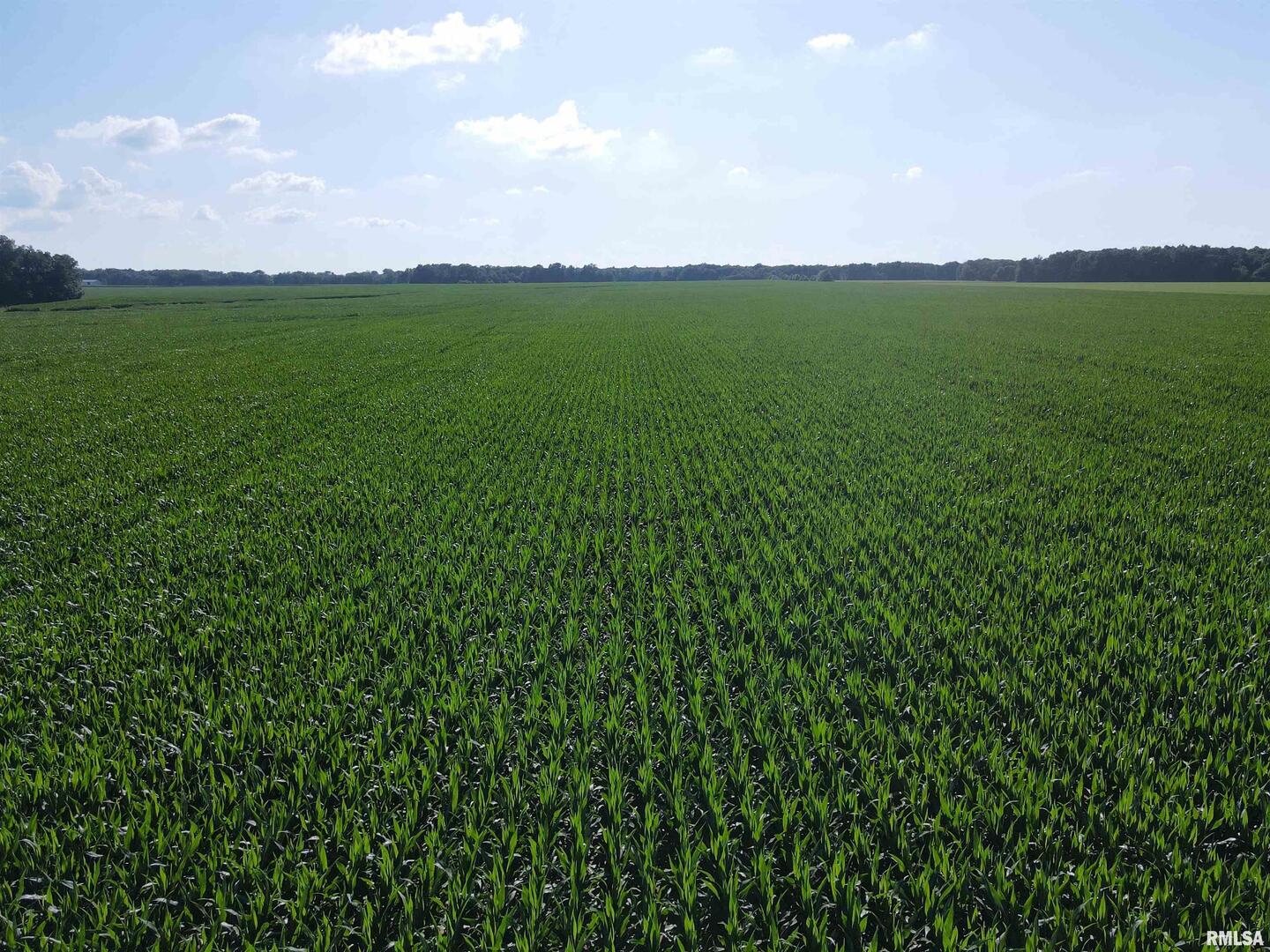 0 East County Road 900 Road Montrose, IL 62445 - Photo 2 of 18 a view of a field with a lake