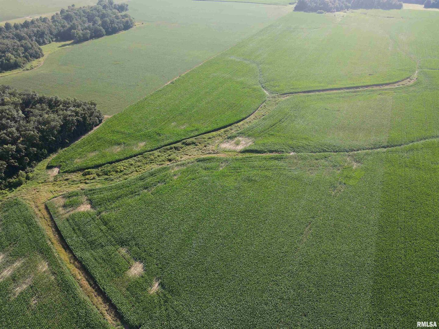 0 East County Road 900 Road Montrose, IL 62445 - Photo 6 of 18 a view of a field with an ocean