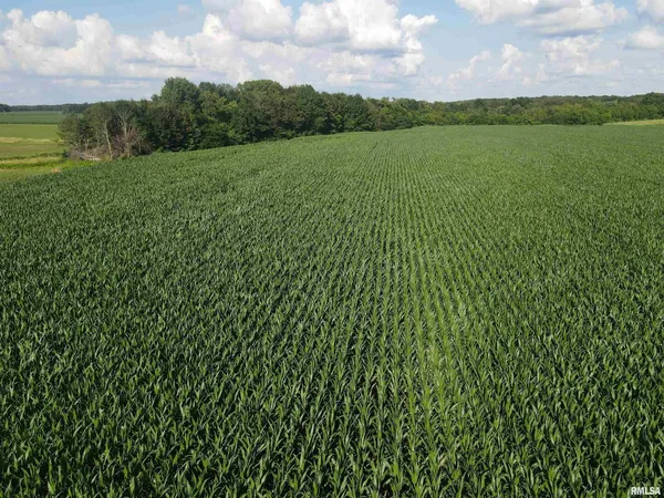 $1,200,000 | 0 East County Road 900 Road, Montrose, IL 62445